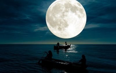 Noche mágica de luna llena